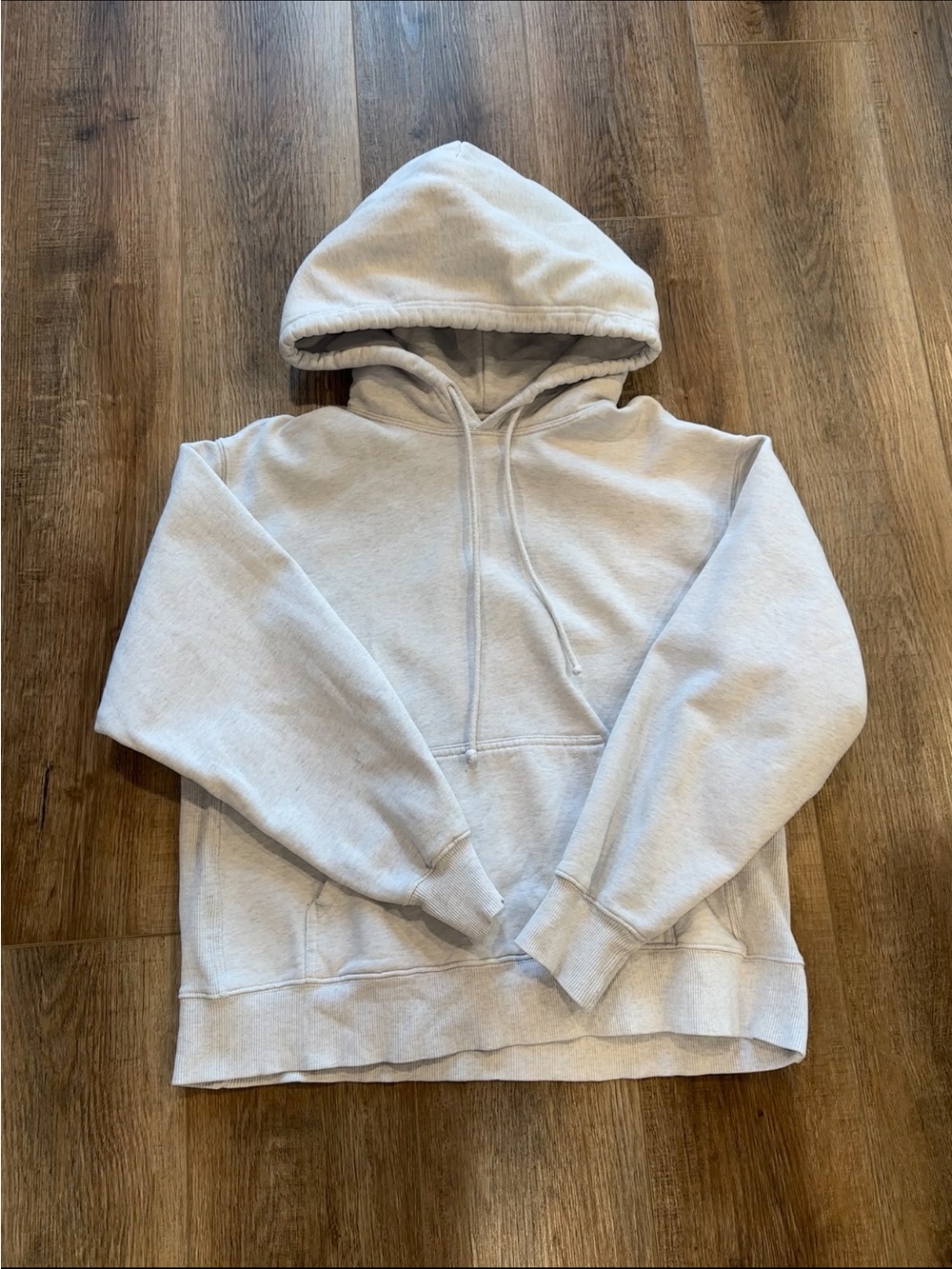 Aritzia TNA Cozy AF Fleece Hoodie in light gray